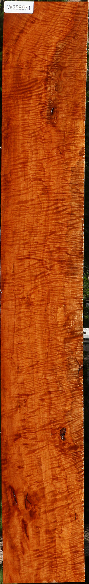 Exhibition Burmese Padauk Lumber