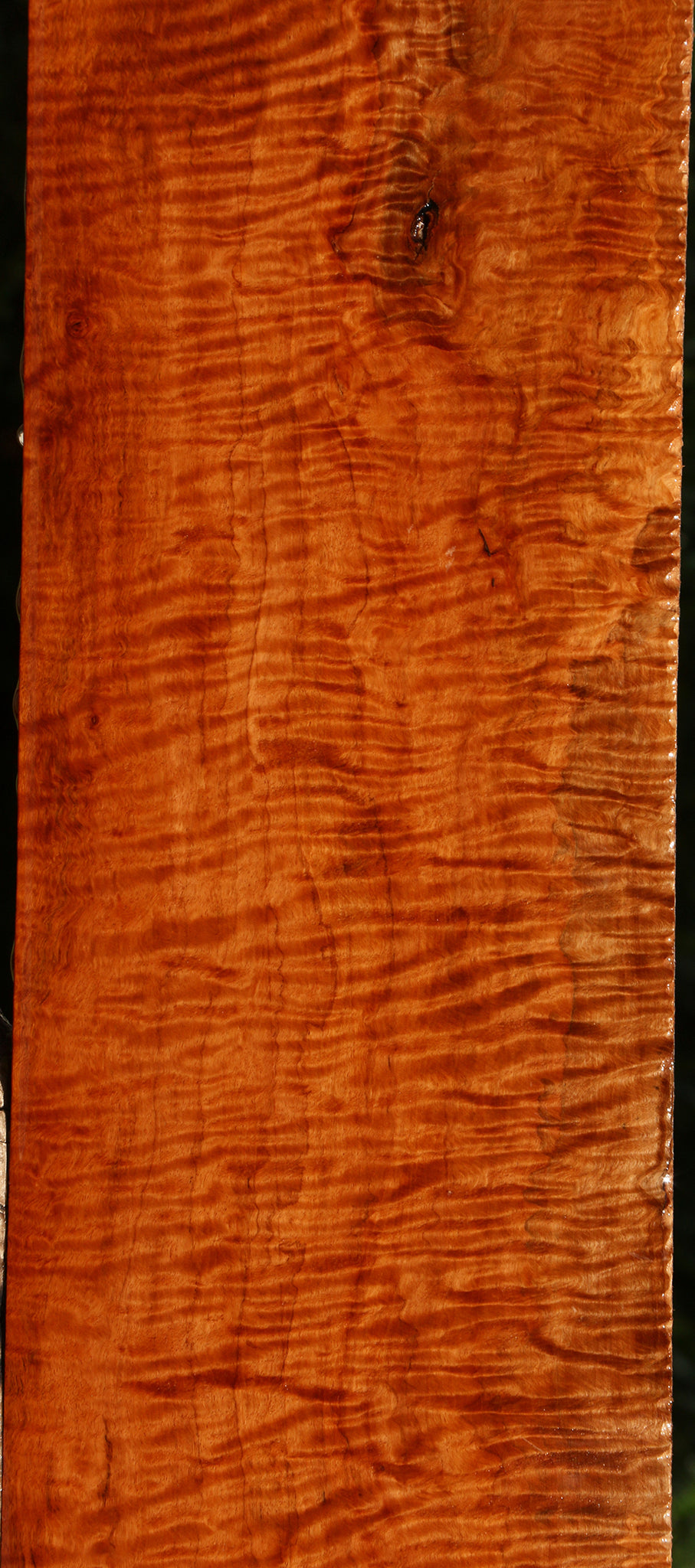 Exhibition Burmese Padauk Lumber