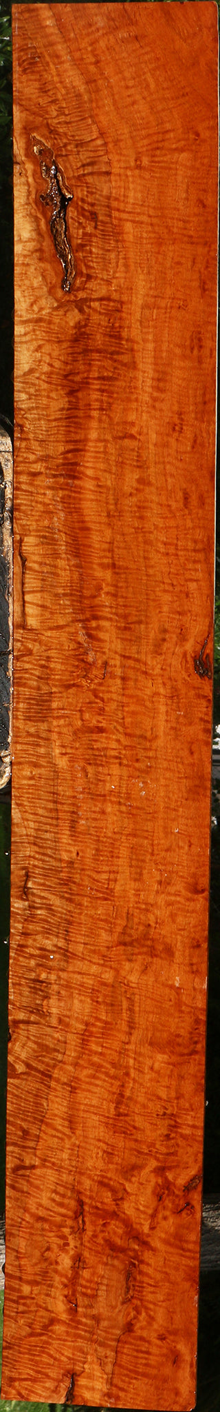 Exhibition Burmese Padauk Lumber