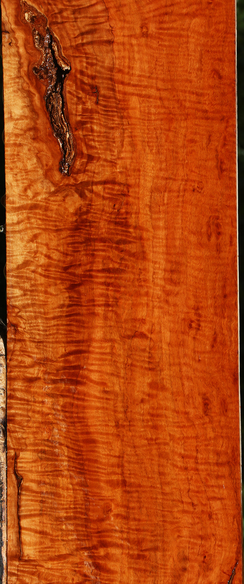 Exhibition Burmese Padauk Lumber