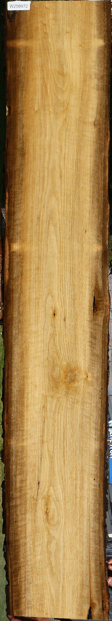 Figured Persimmon Live Edge Lumber