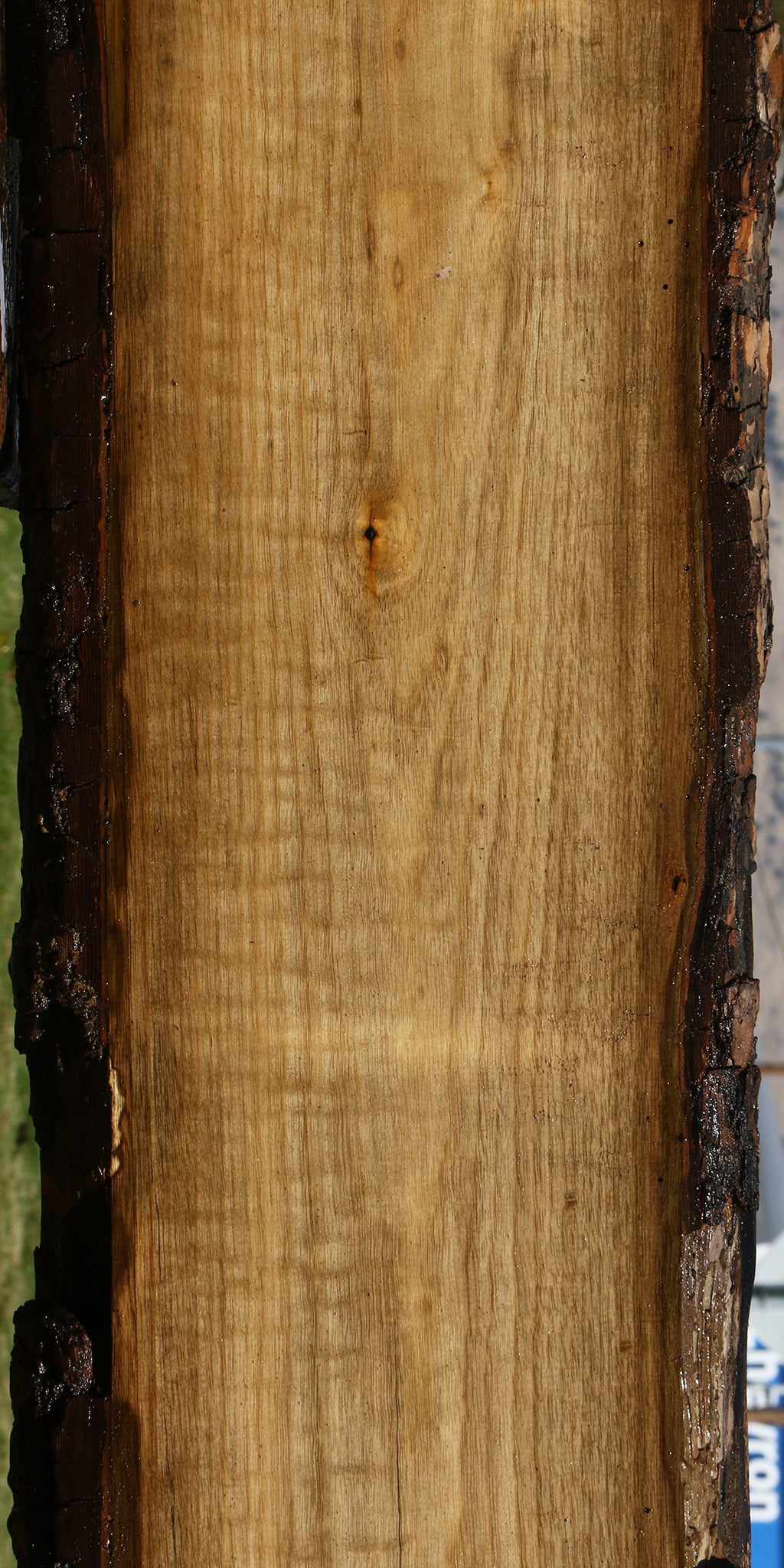 Figured Persimmon Live Edge Lumber