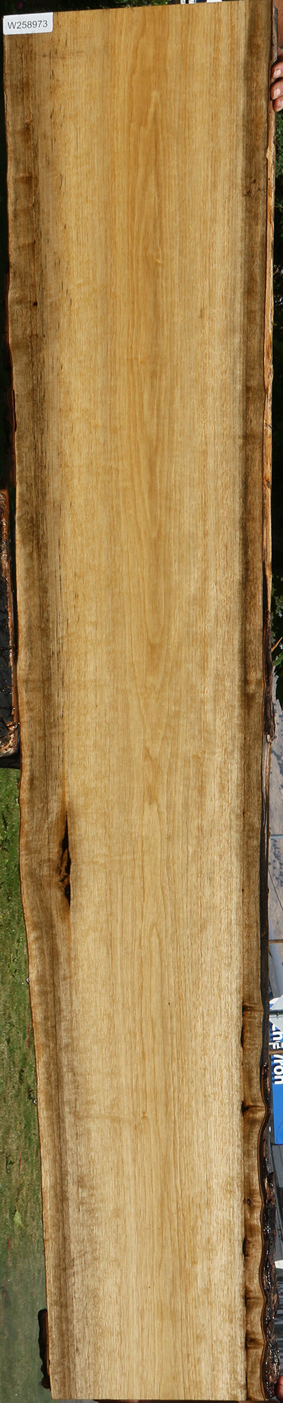 Figured Persimmon Live Edge Lumber