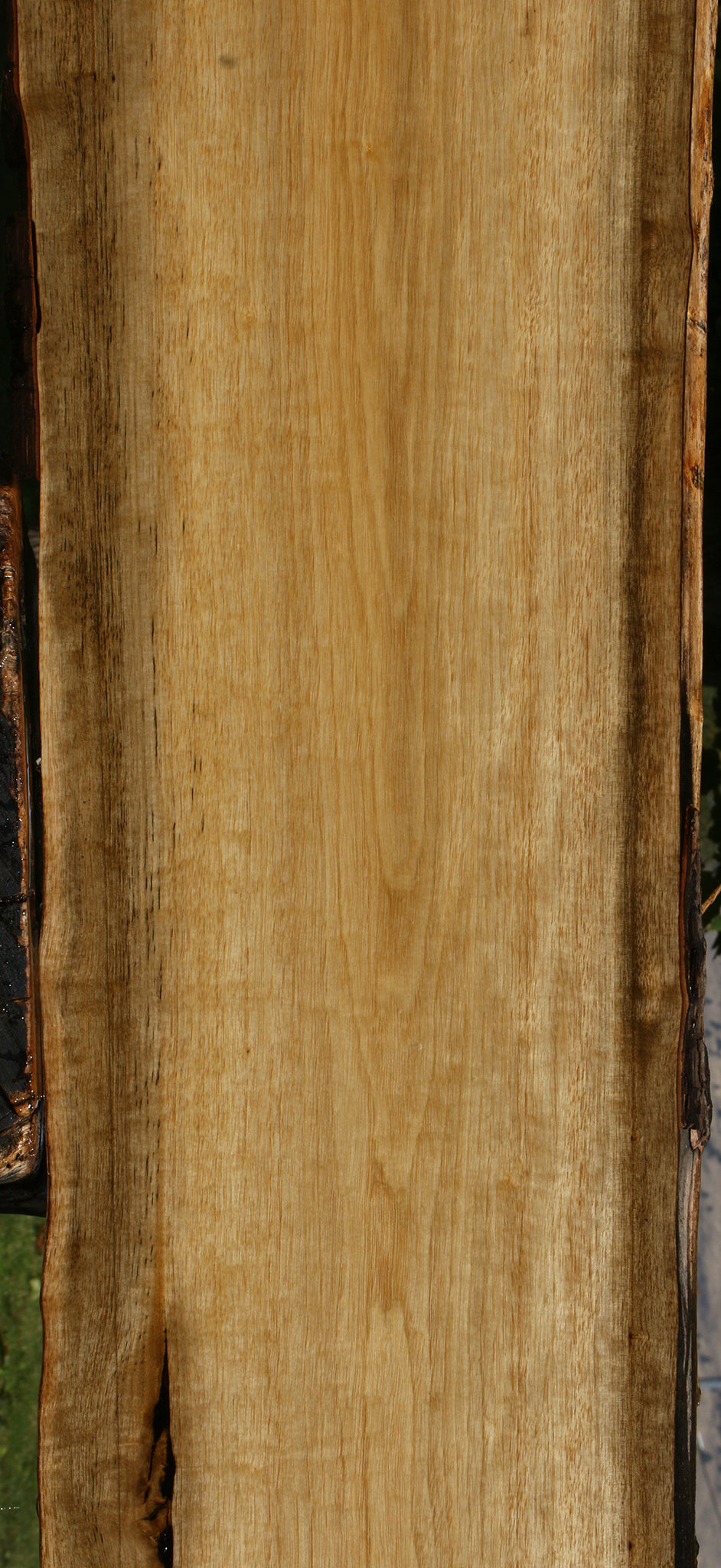Figured Persimmon Live Edge Lumber