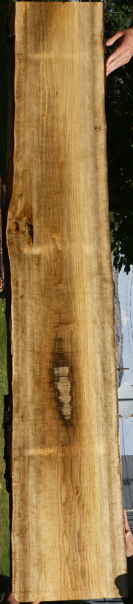 Figured Persimmon Live Edge Lumber