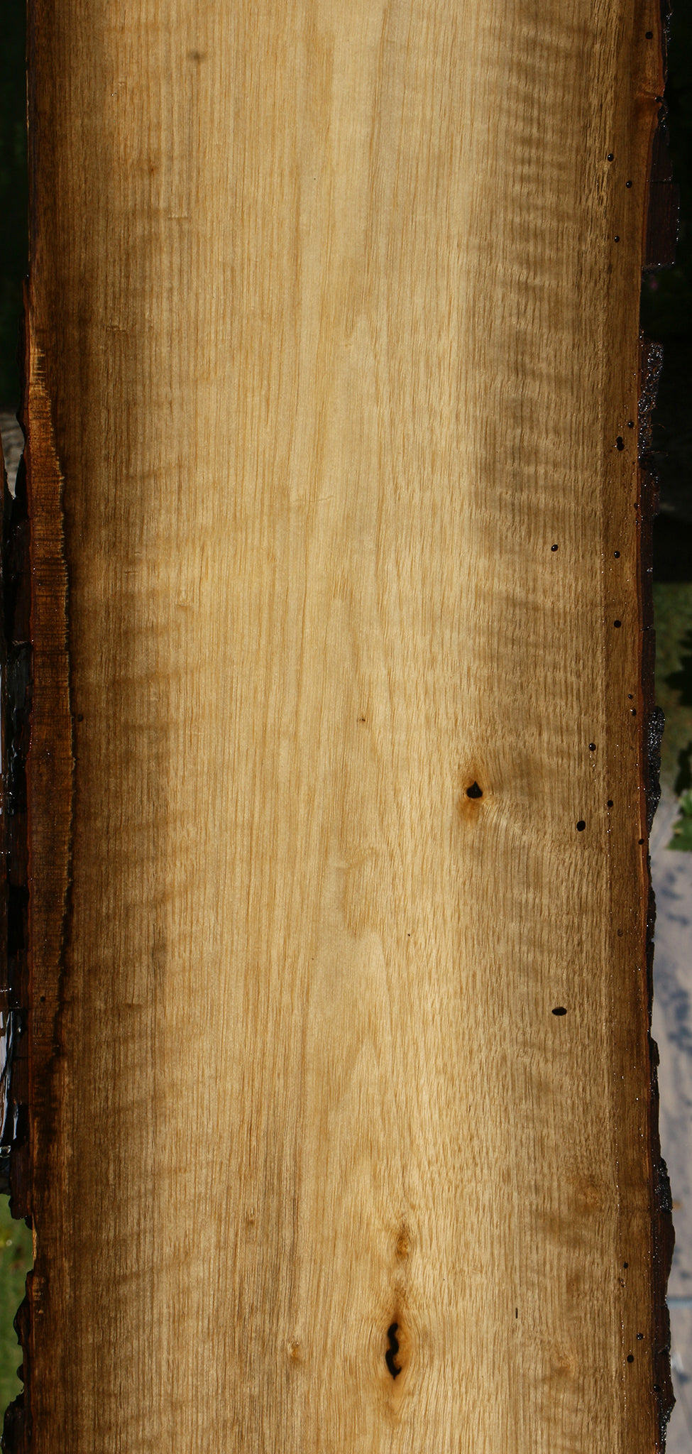 Figured Persimmon Live Edge Lumber