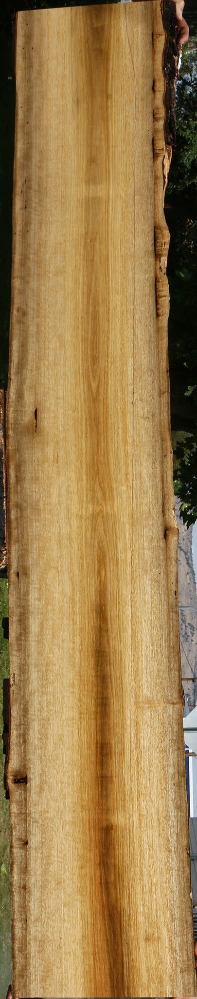 Persimmon Live Edge Lumber