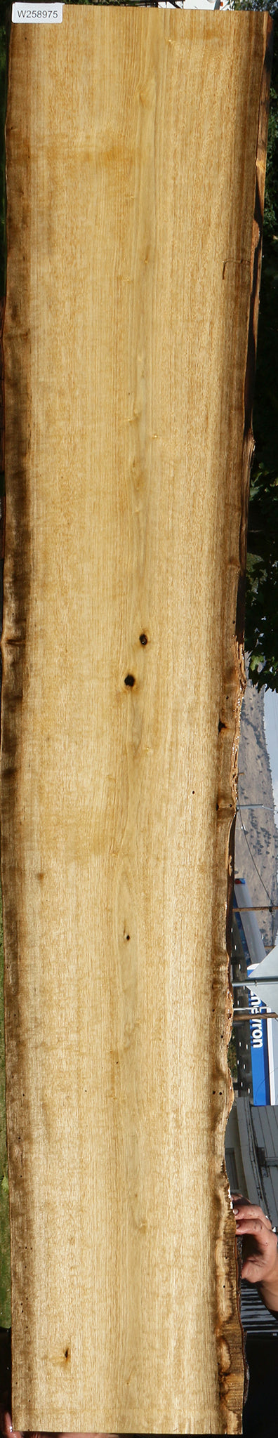 Persimmon Live Edge Lumber