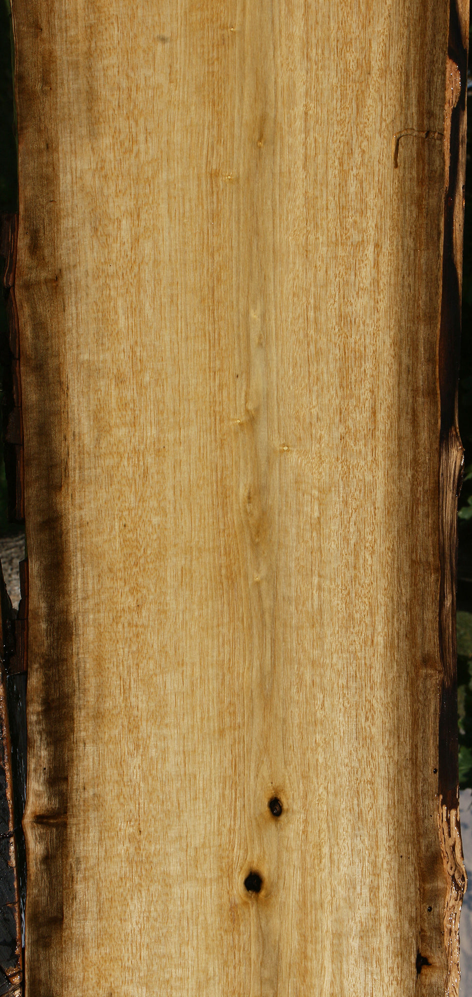 Persimmon Live Edge Lumber