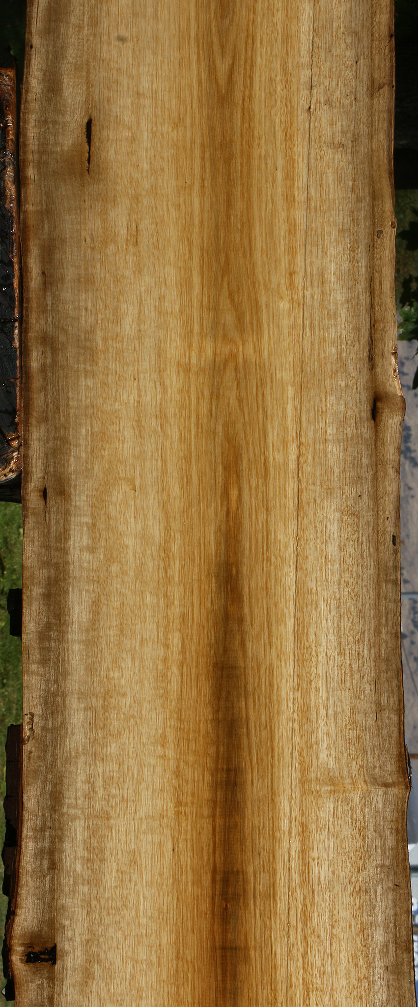 Persimmon Live Edge Lumber