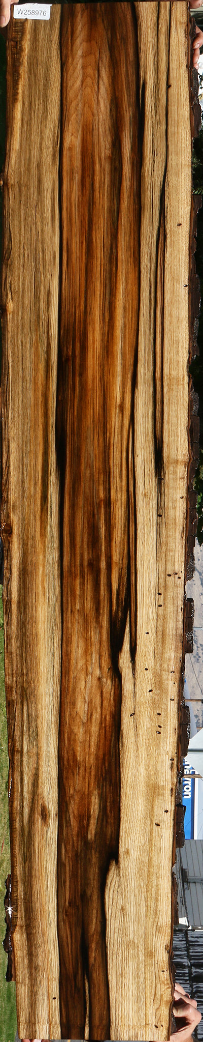 Exhibition Persimmon Live Edge Lumber