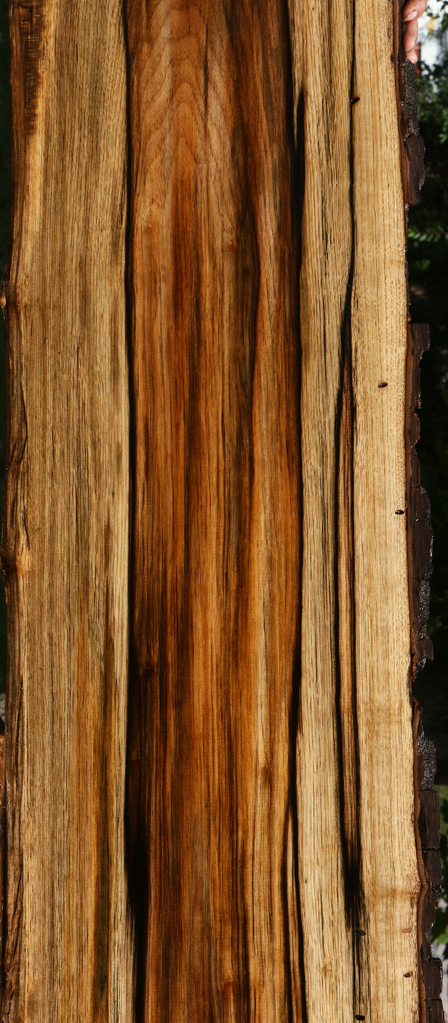 Exhibition Persimmon Live Edge Lumber