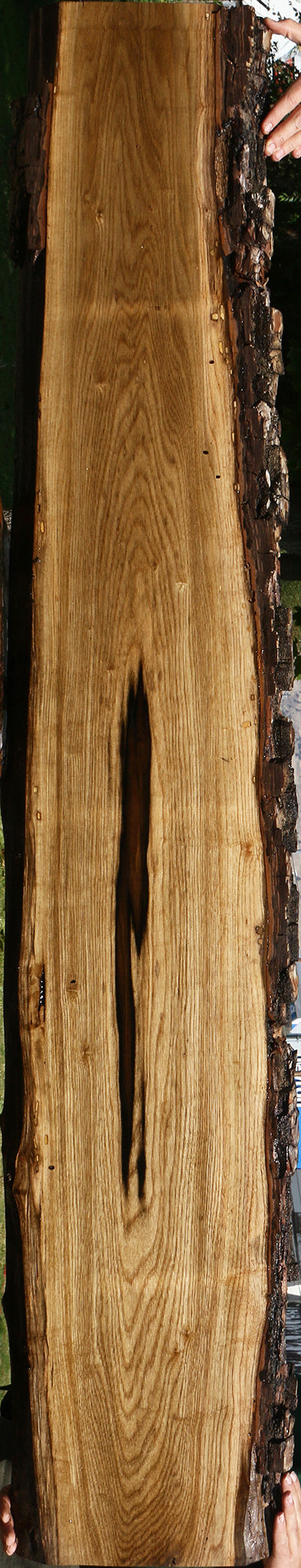 Exhibition Persimmon Live Edge Lumber
