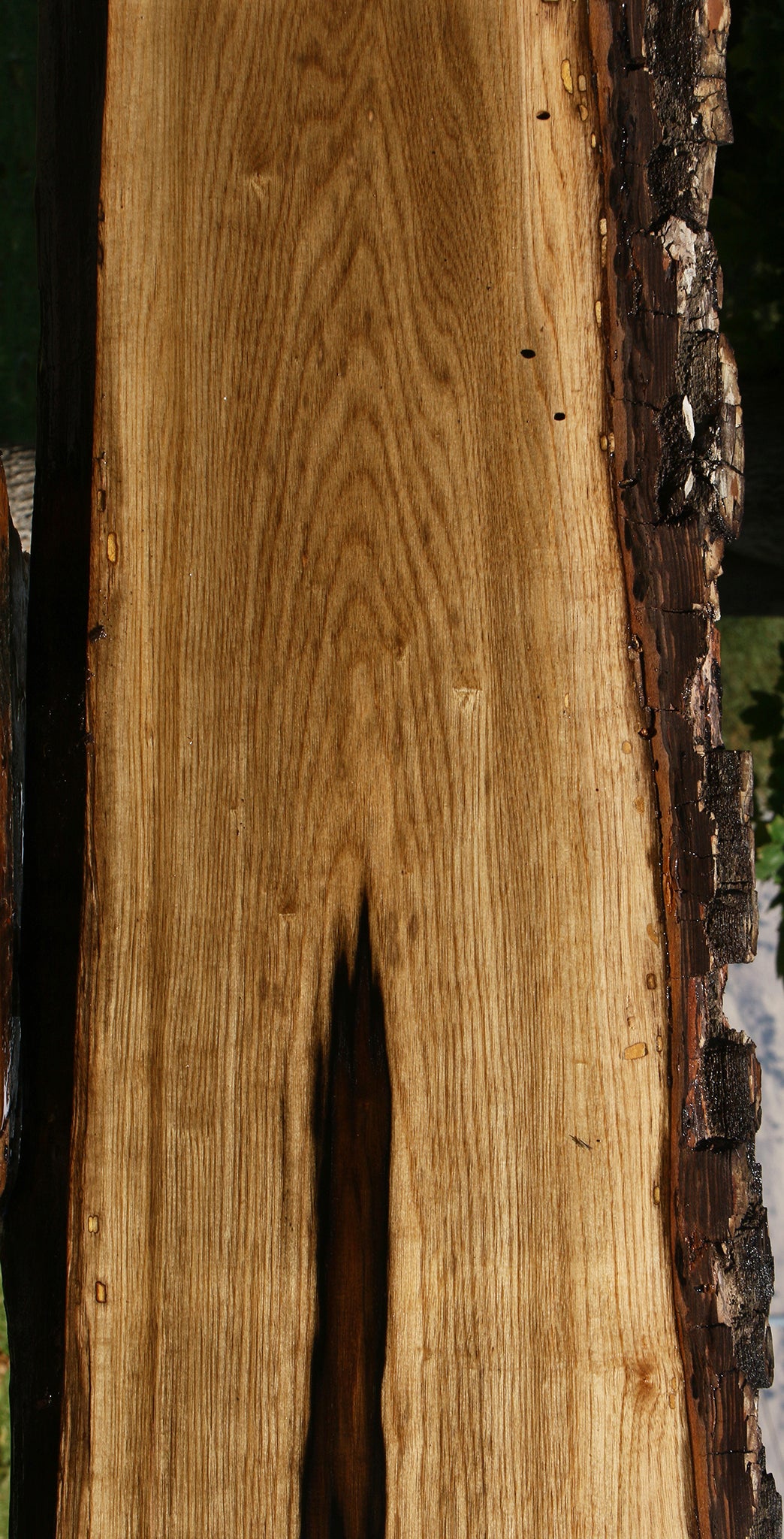 Exhibition Persimmon Live Edge Lumber