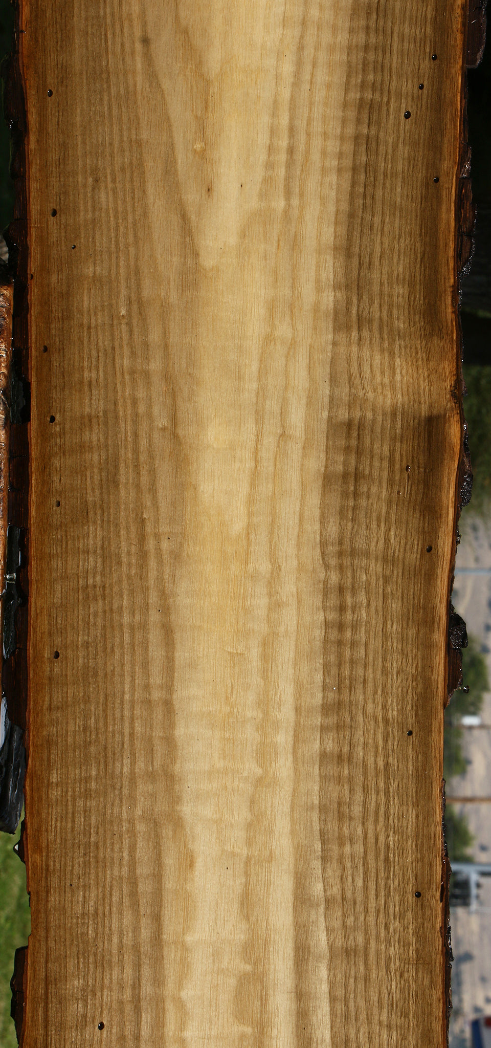 Figured Rustic Persimmon Live Edge Lumber