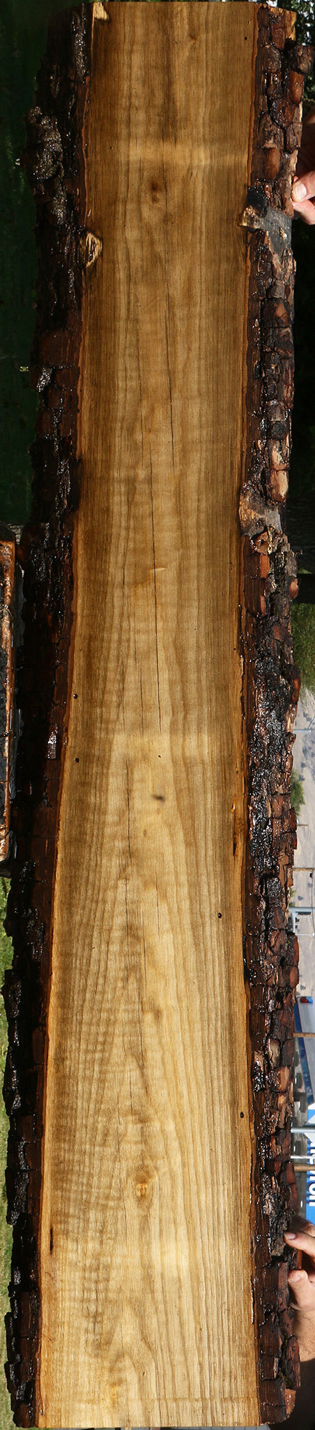 Figured Rustic Persimmon Live Edge Lumber