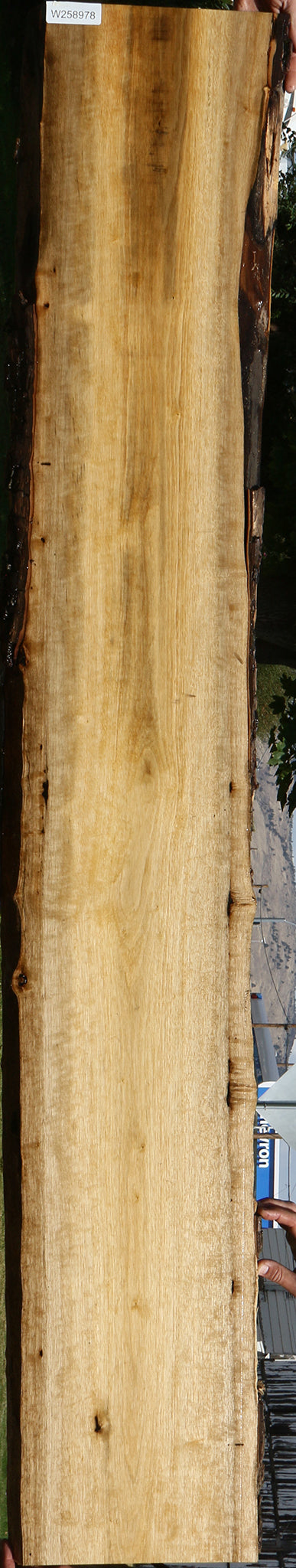 Persimmon Live Edge Lumber
