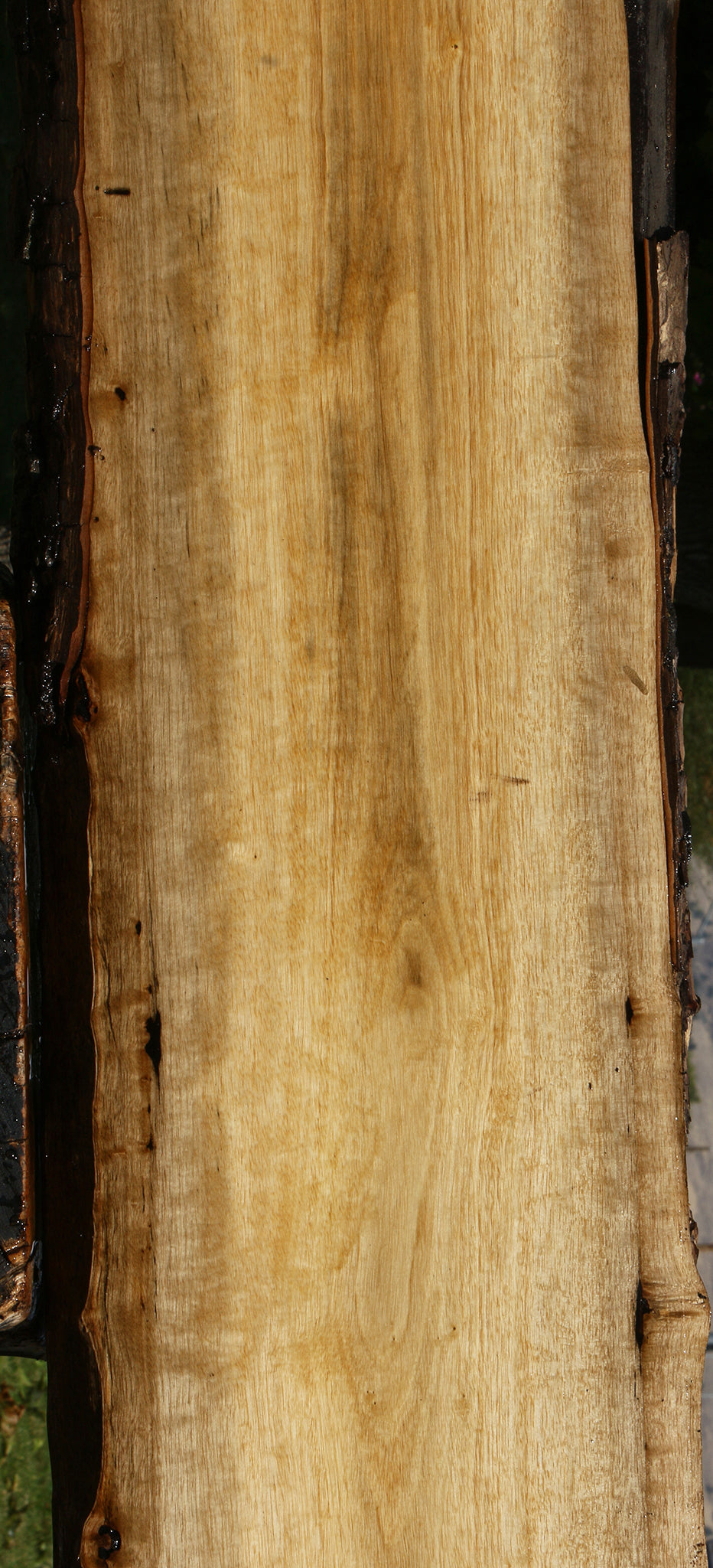 Persimmon Live Edge Lumber