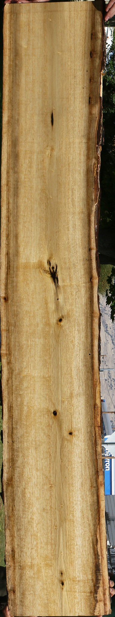 Persimmon Live Edge Lumber