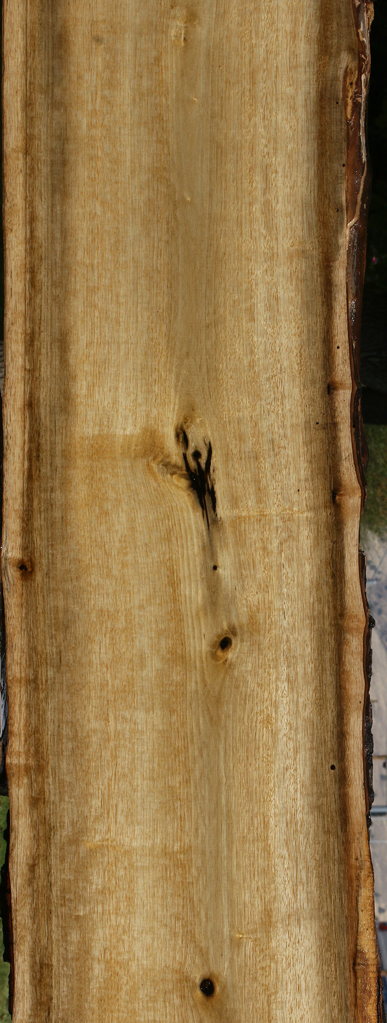 Persimmon Live Edge Lumber