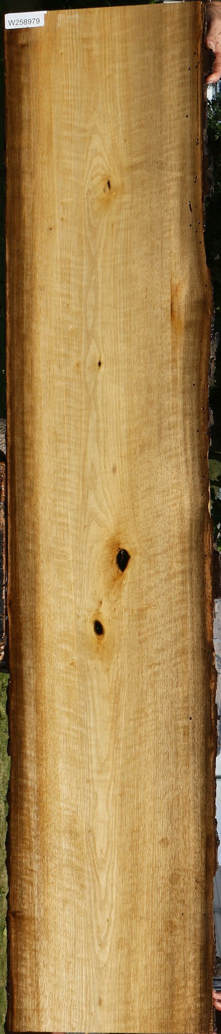 Extra Fancy Persimmon Live Edge Lumber