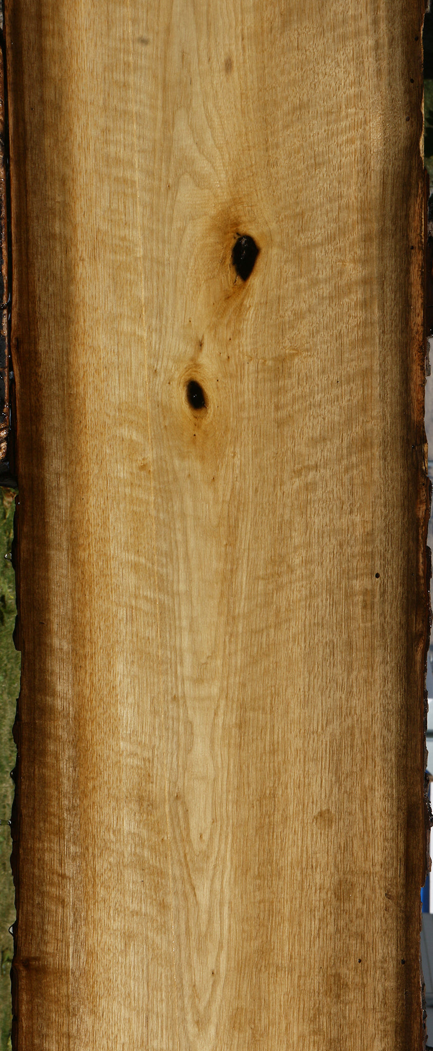 Extra Fancy Persimmon Live Edge Lumber