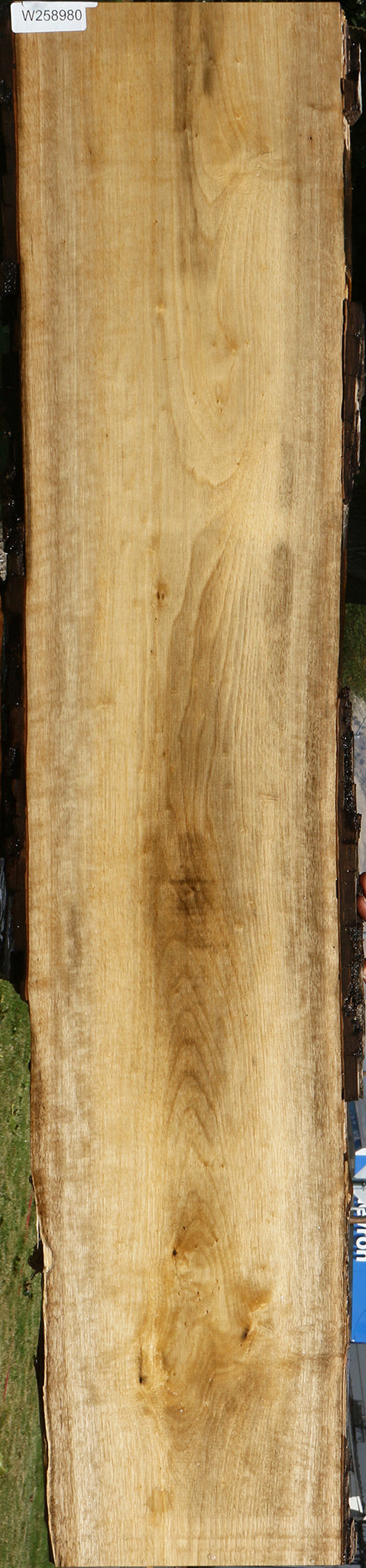 Persimmon Live Edge Lumber
