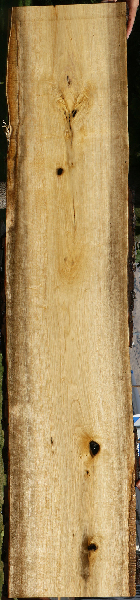 Persimmon Live Edge Lumber