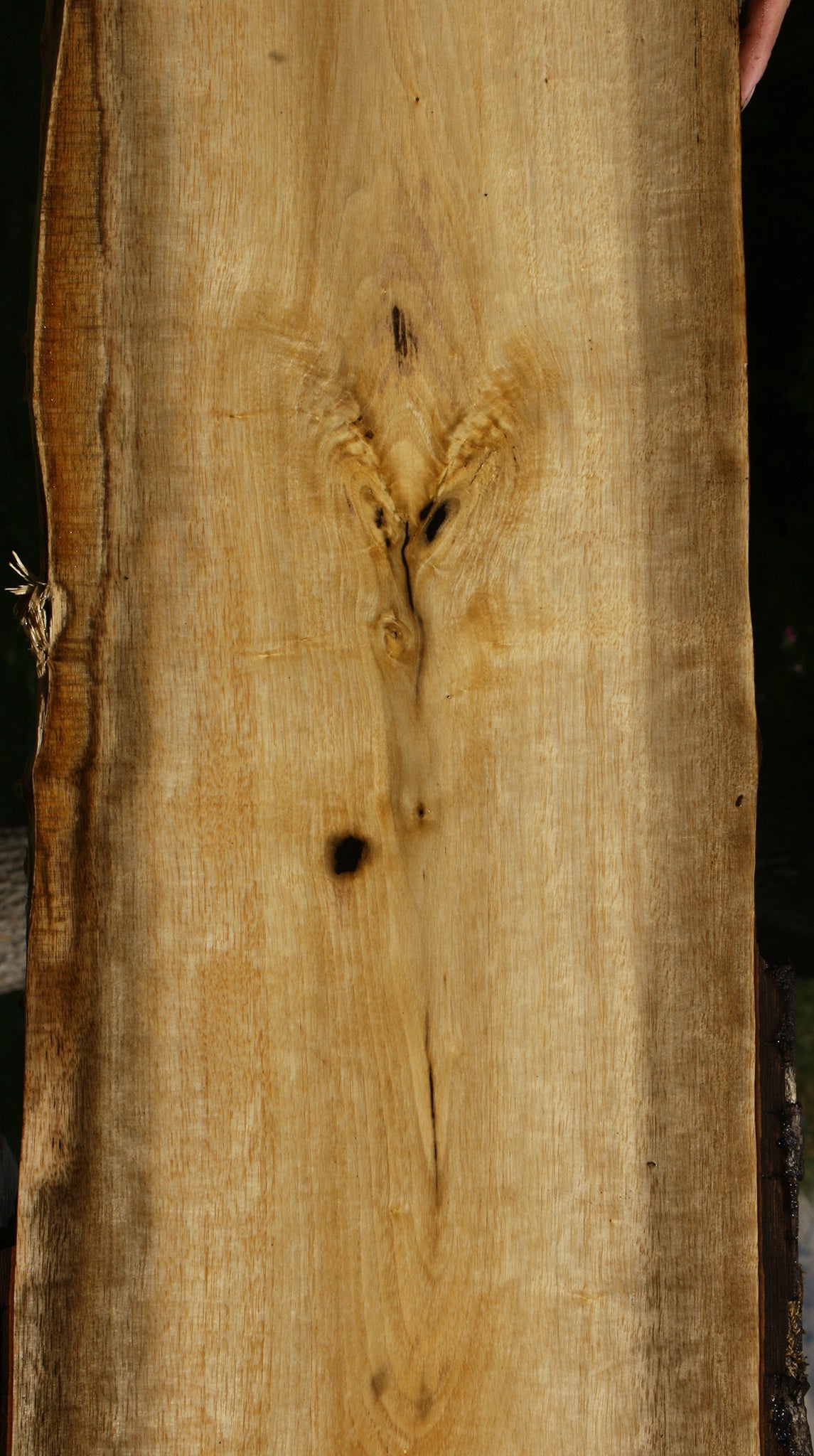 Persimmon Live Edge Lumber