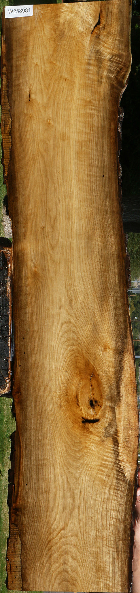 Figured Persimmon Live Edge Lumber