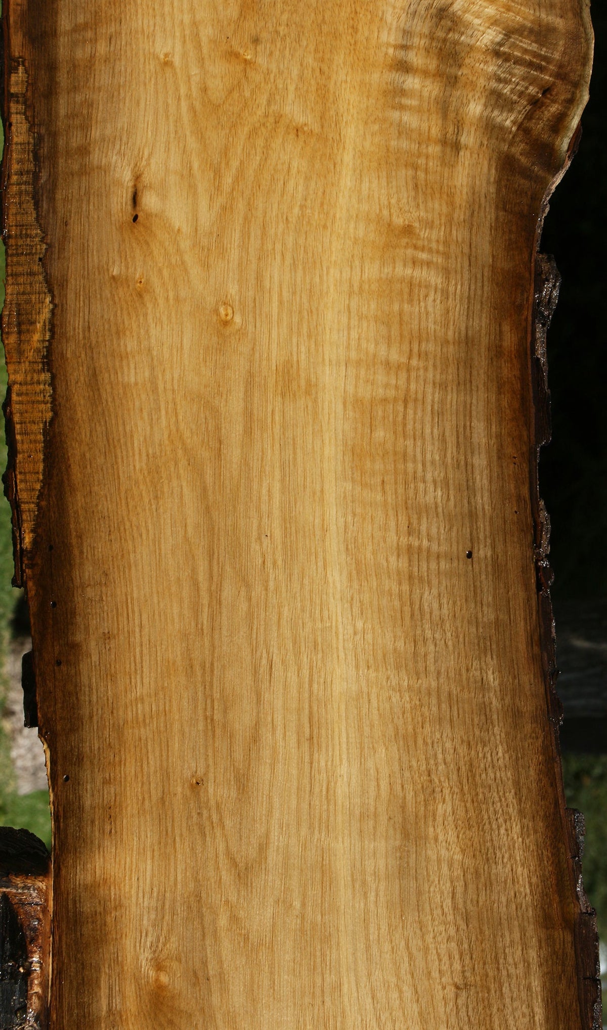 Figured Persimmon Live Edge Lumber