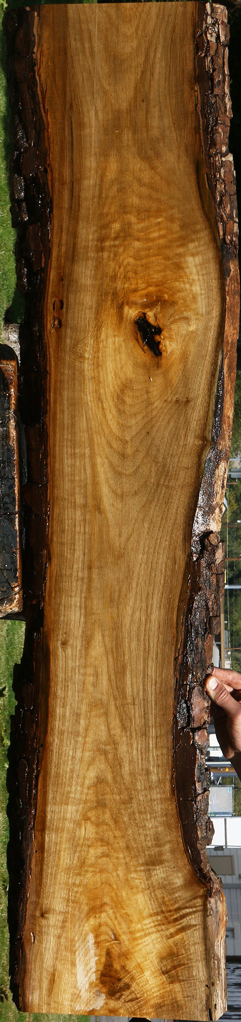Figured Persimmon Live Edge Lumber