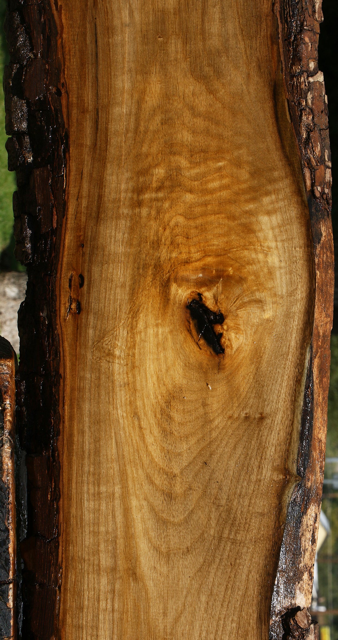 Figured Persimmon Live Edge Lumber