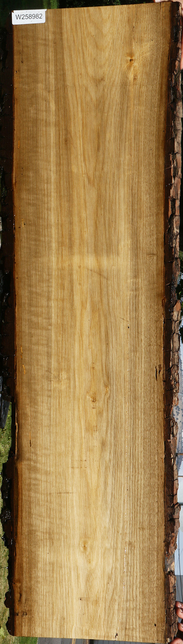 Figured Persimmon Live Edge Lumber