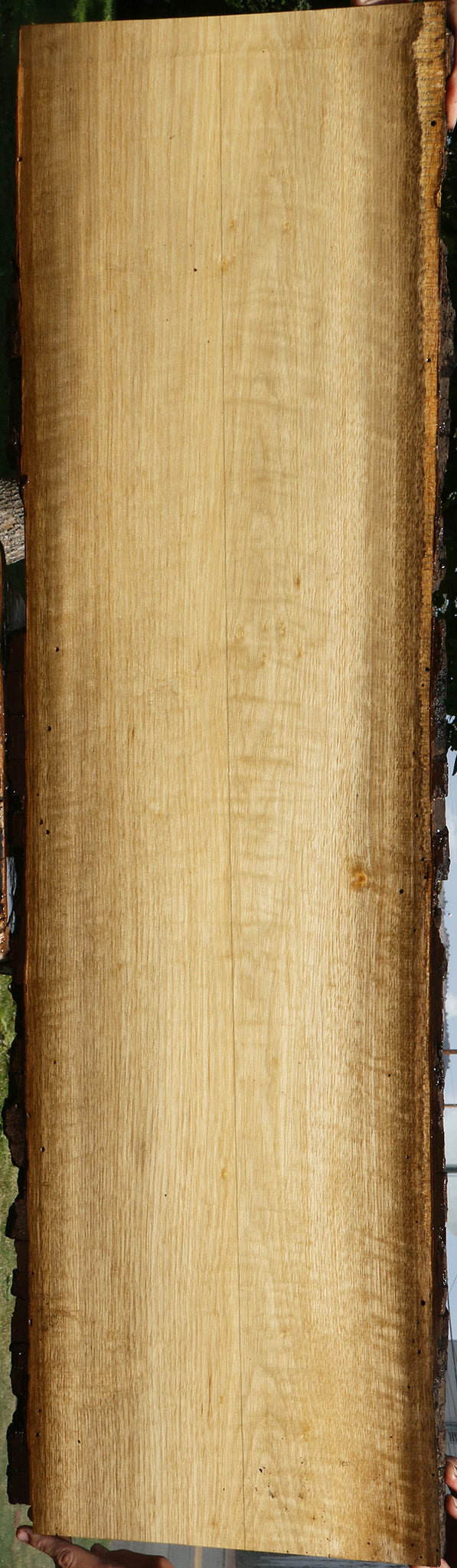 Figured Persimmon Live Edge Lumber
