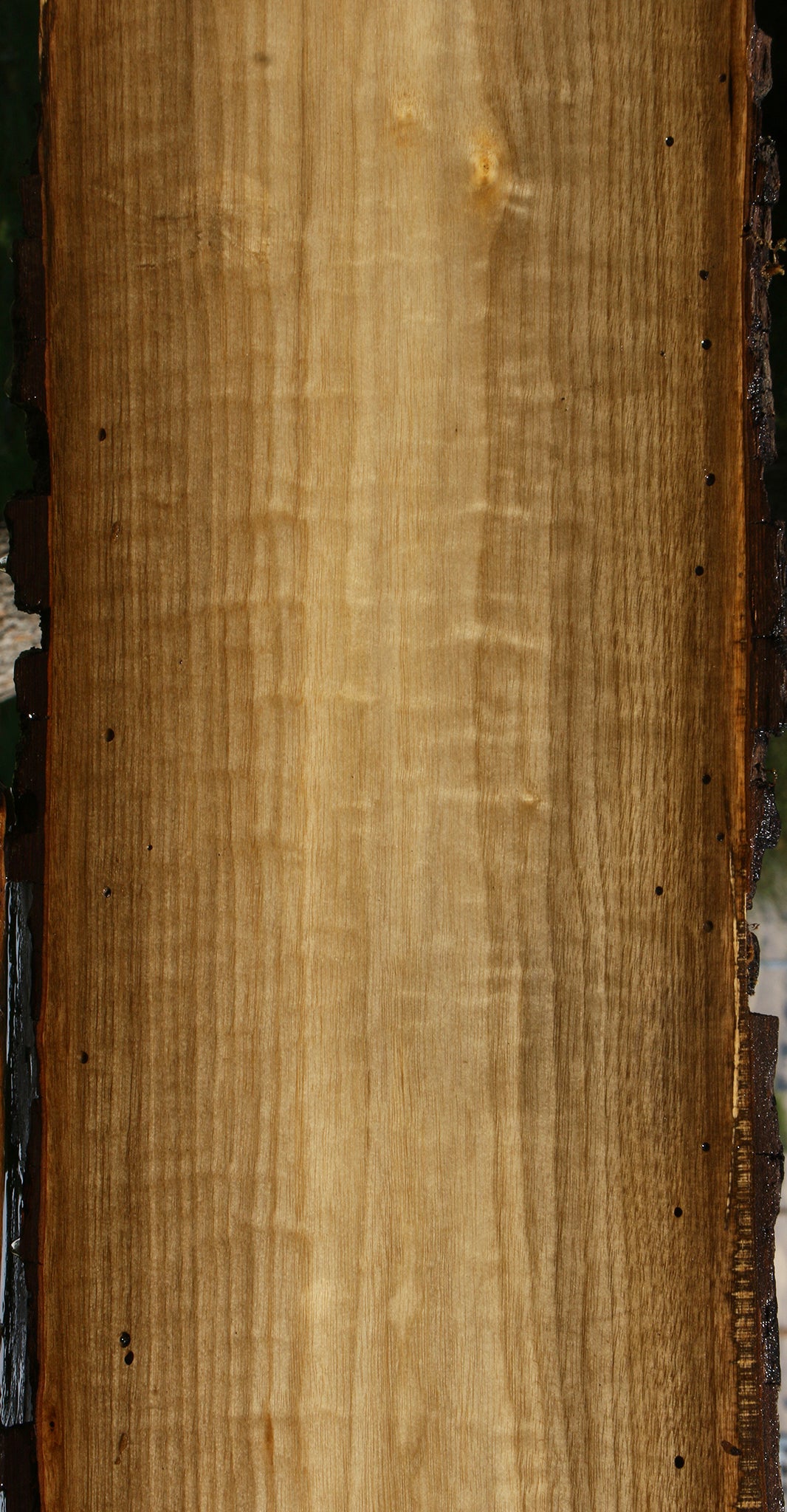 Figured Persimmon Live Edge Lumber