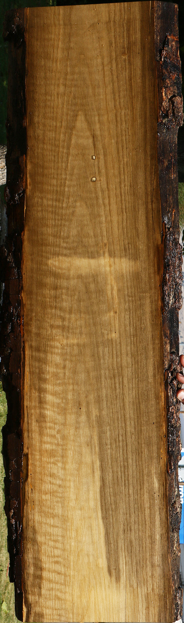Extra Fancy Persimmon Live Edge Lumber