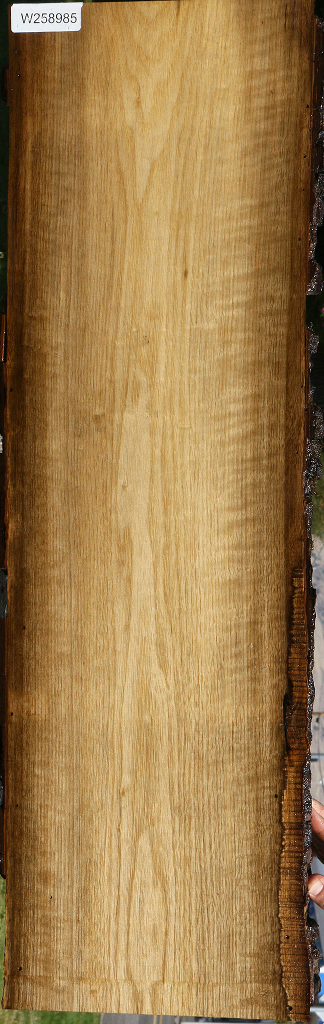 Figured Persimmon Live Edge Lumber