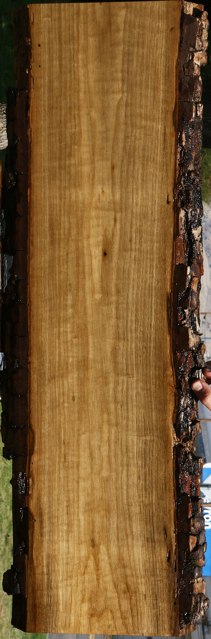 Figured Persimmon Live Edge Lumber