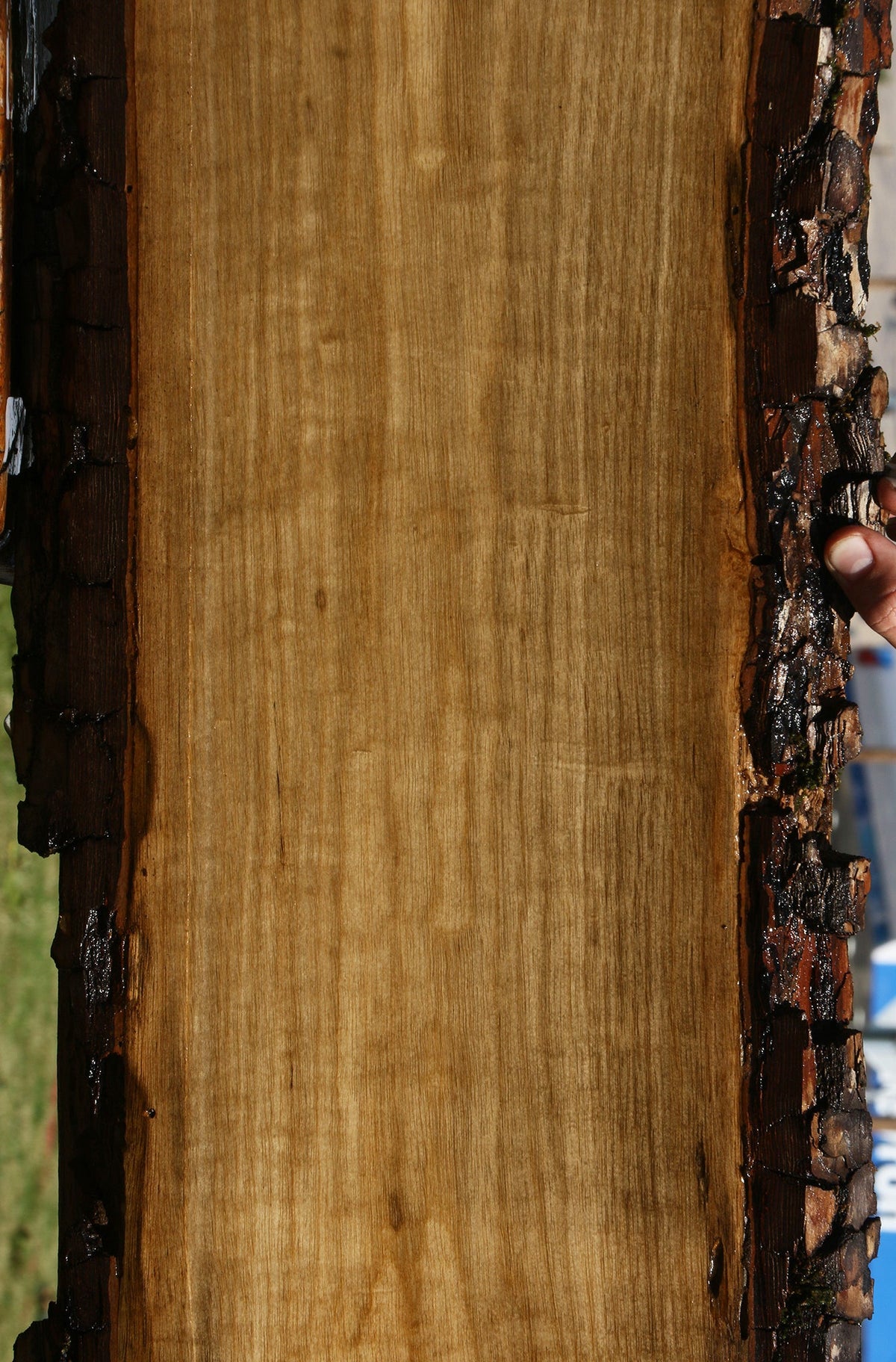 Figured Persimmon Live Edge Lumber