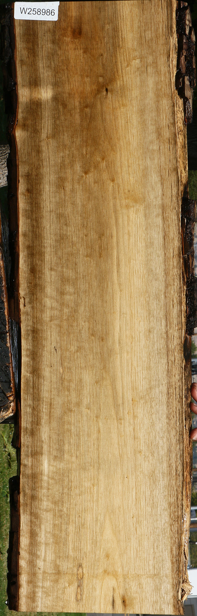 Figured Persimmon Live Edge Lumber