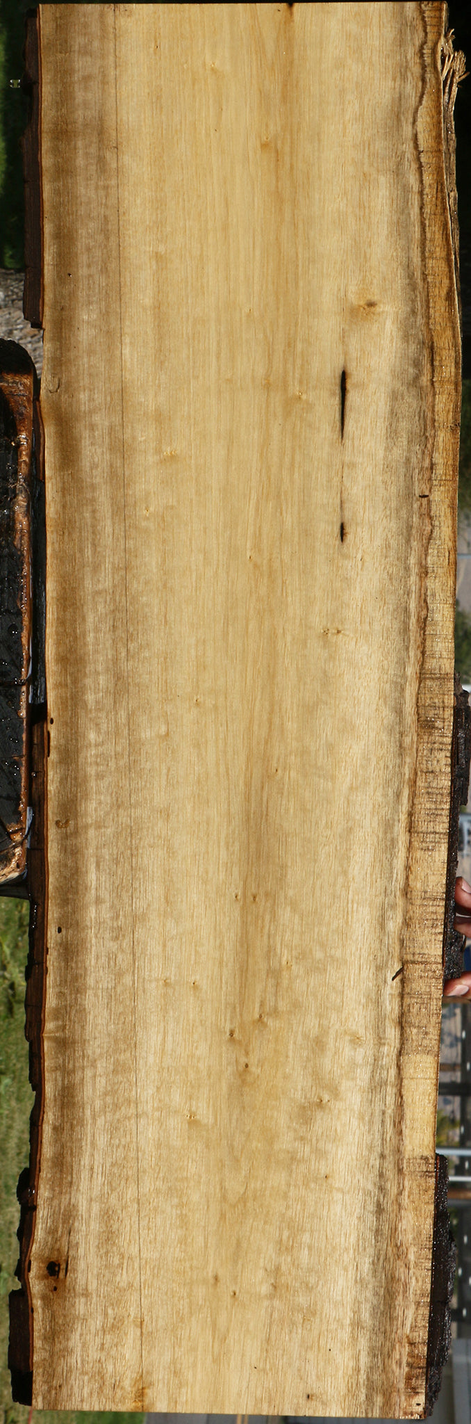 Figured Persimmon Live Edge Lumber