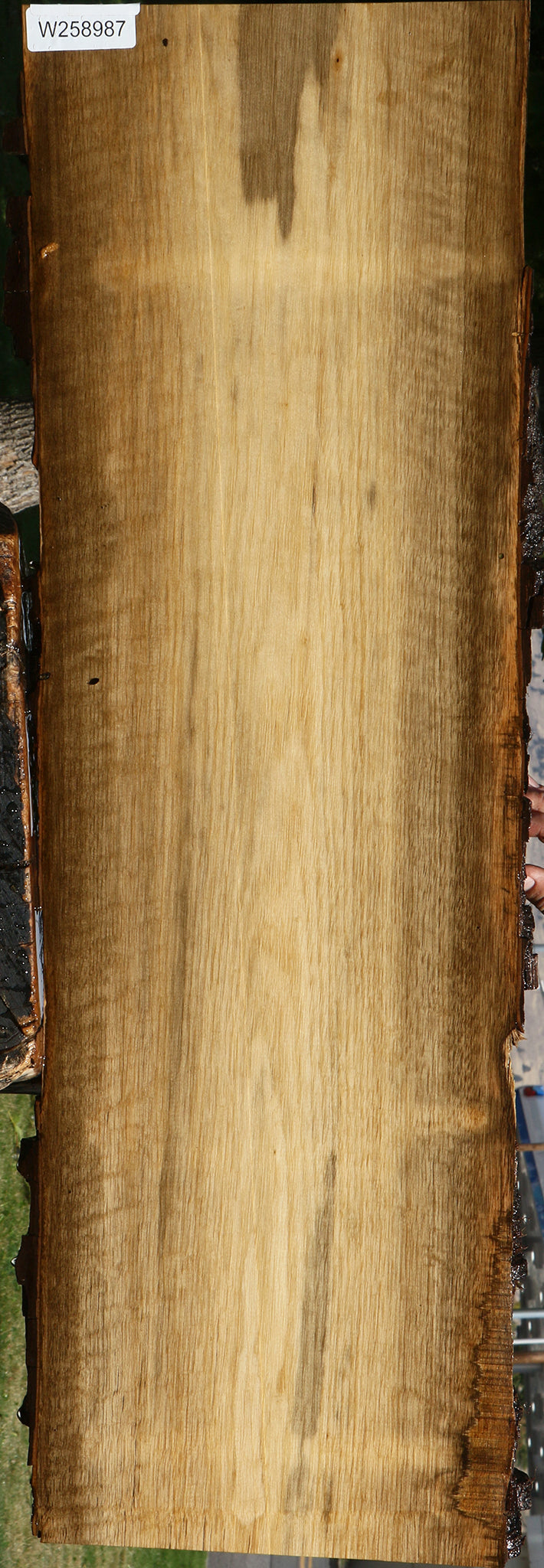 Figured Persimmon Live Edge Lumber