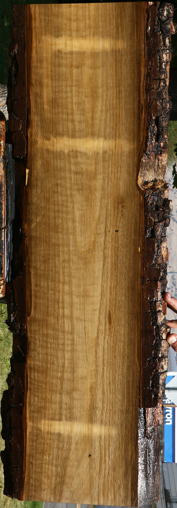 Figured Persimmon Live Edge Lumber