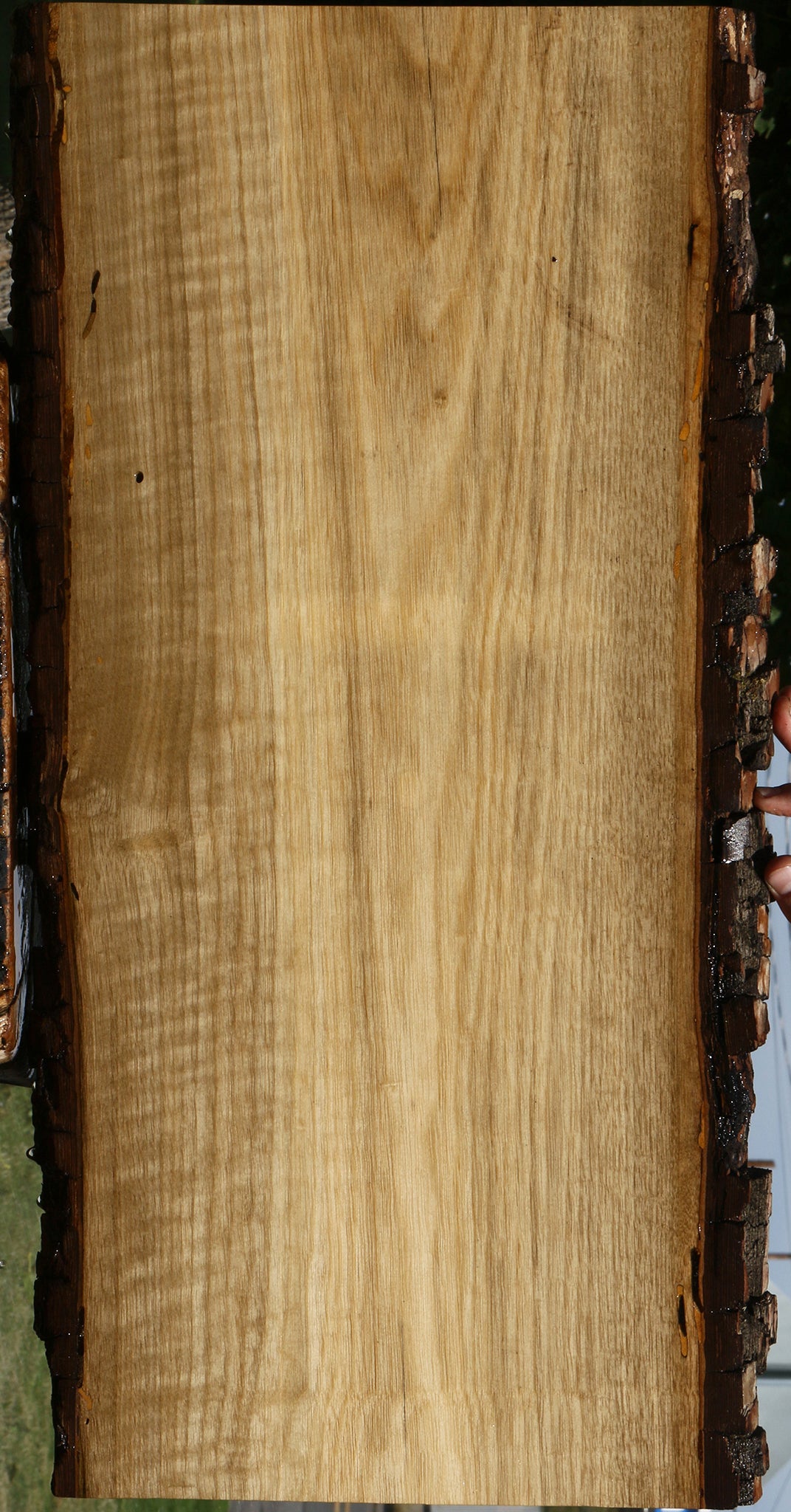Figured Persimmon Live Edge Lumber