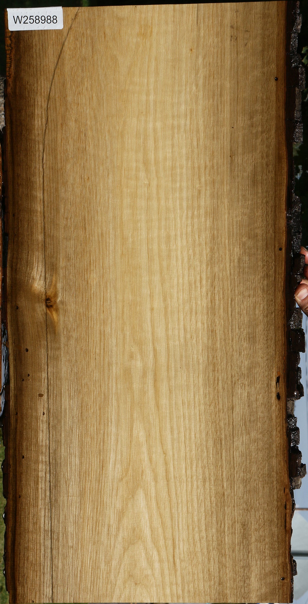 Figured Persimmon Live Edge Lumber
