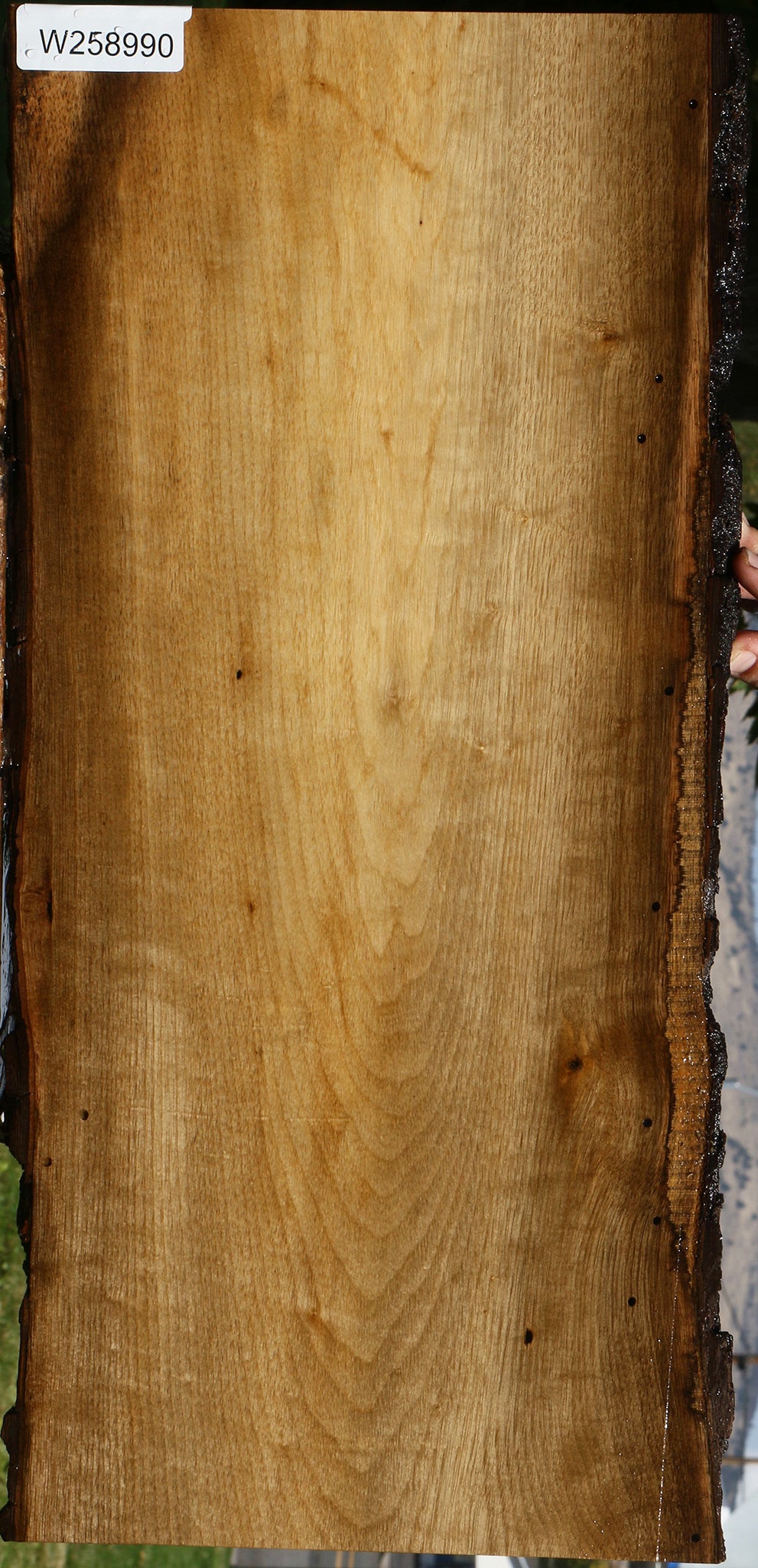 Figured Persimmon Live Edge Lumber