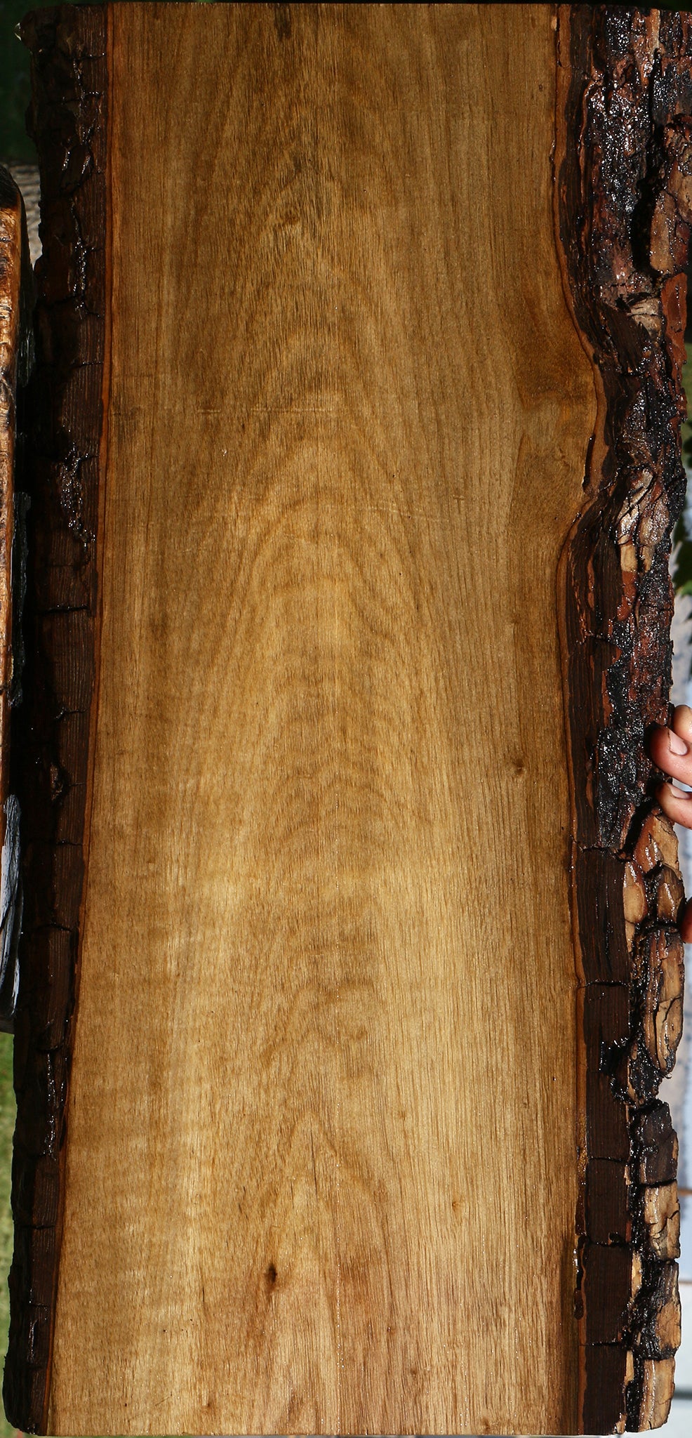 Figured Persimmon Live Edge Lumber