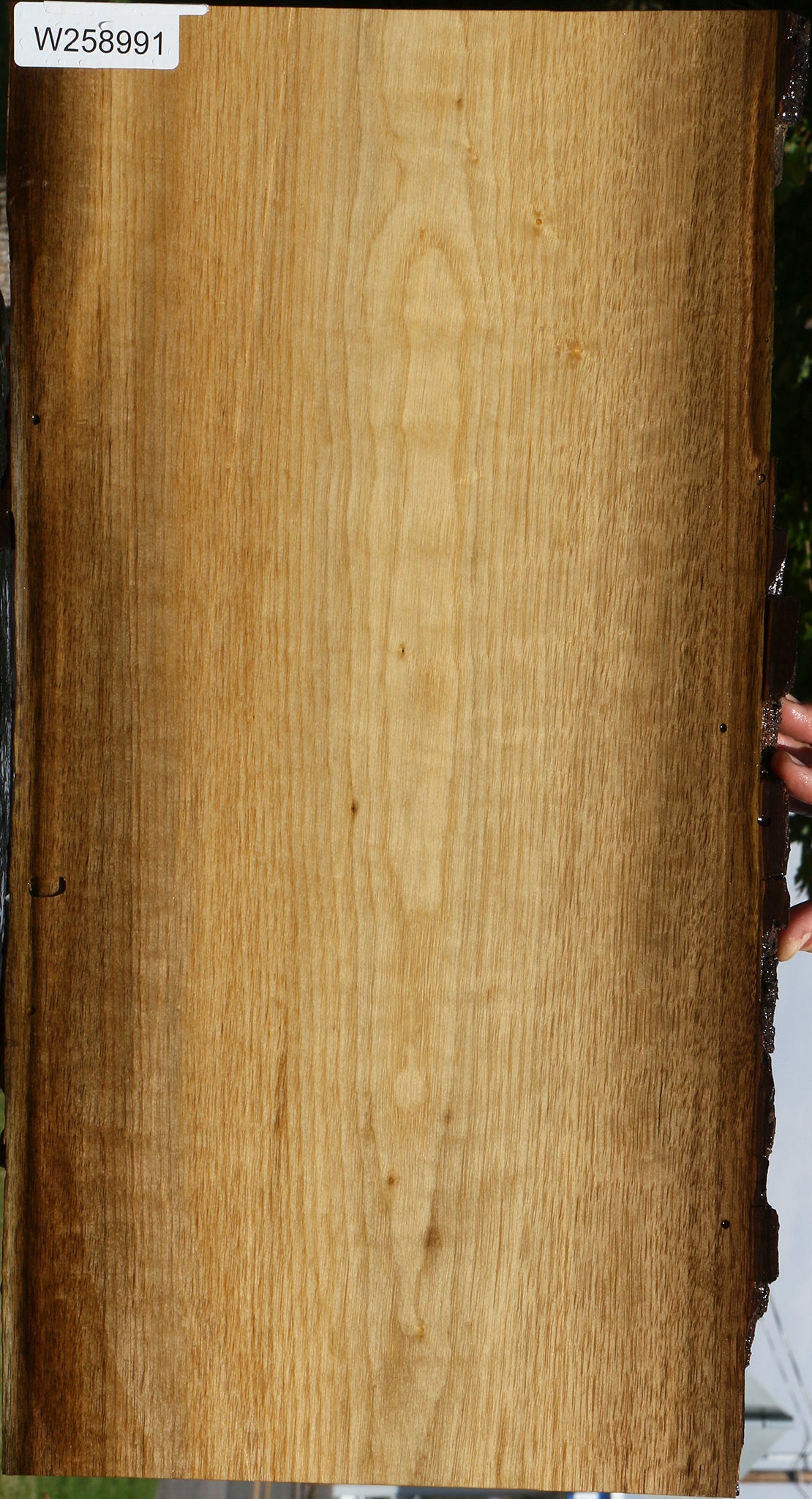 Persimmon Live Edge Lumber
