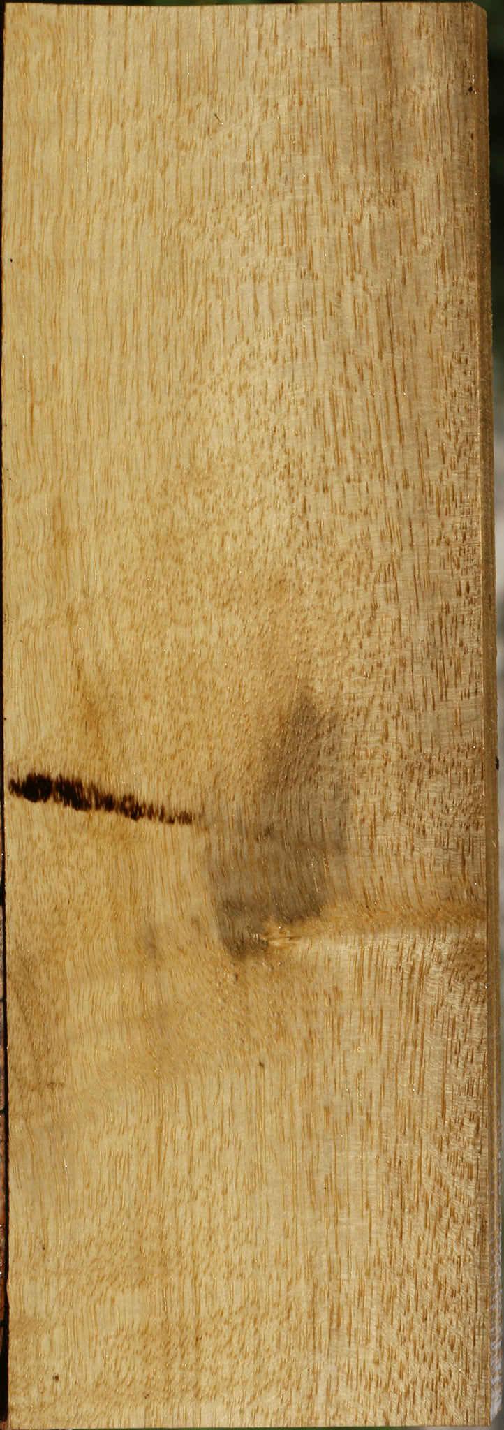 Persimmon Lumber